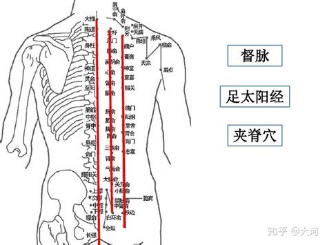 北部穴道